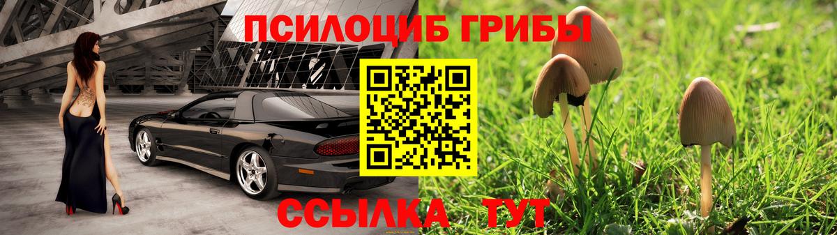 Псилоцибиновые грибы прущие грибы  Вход с VPN  Шахты 